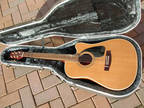 Guitar - Acoustic Samick SW220HSC - Hiscox Hard Case